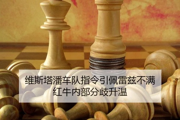 wei-si-ta-pan-che-dui-zhi-ling-yin-pei-lei-zi-bu-man-hong-niu-nei-bu-fen-qi-sheng-wen-2-656.jpg