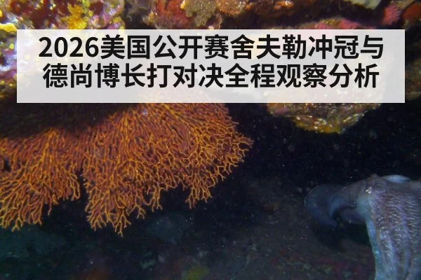 2026美国公开赛舍夫勒冲冠与德尚博长打对决全程观察分析